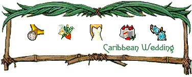 Caribbean Wedding